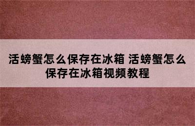 活螃蟹怎么保存在冰箱 活螃蟹怎么保存在冰箱视频教程